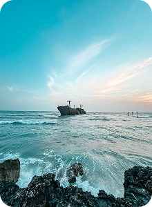 کیش